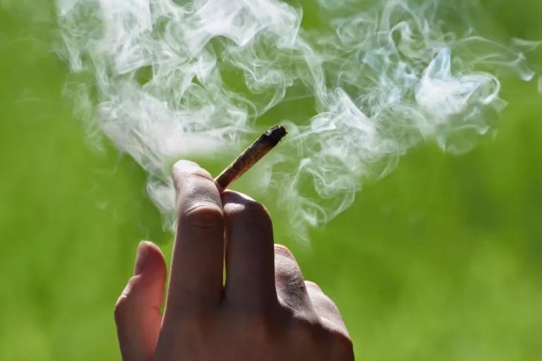 21 pessoas no Japão acusadas de importar sementes de maconha